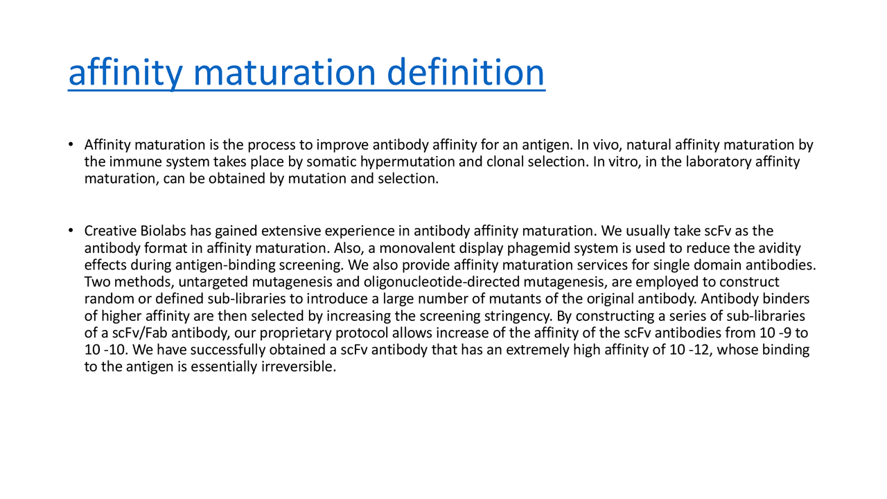 Affinity maturation definition - Docsity
