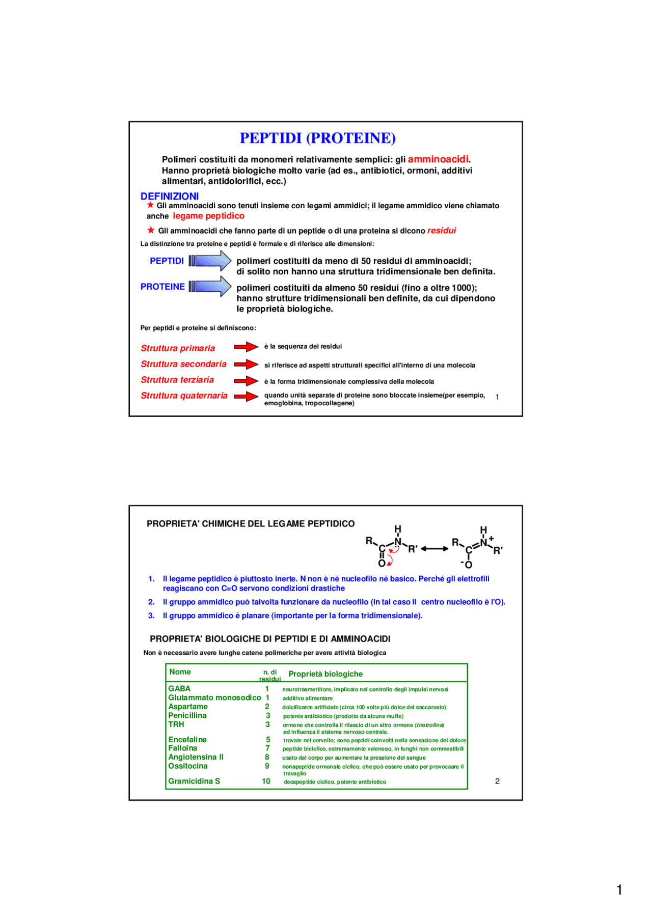 I peptidi e tutti i derivati | Sintesi del corso di Chimica Biorganica ...