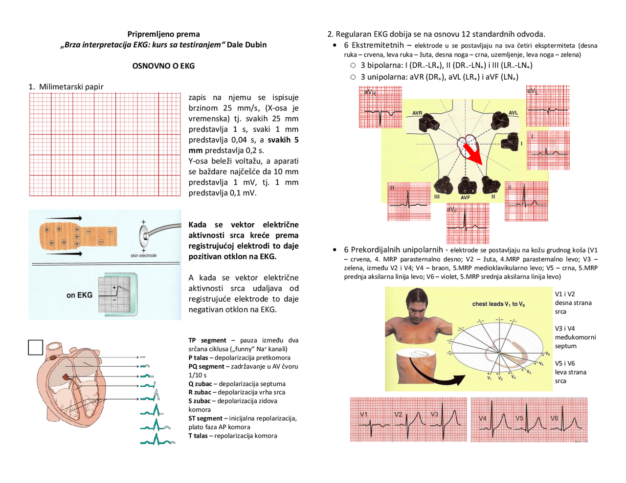Brza interpretacija EKG: kurs sa testiranjem | Transkripti' predlog ...