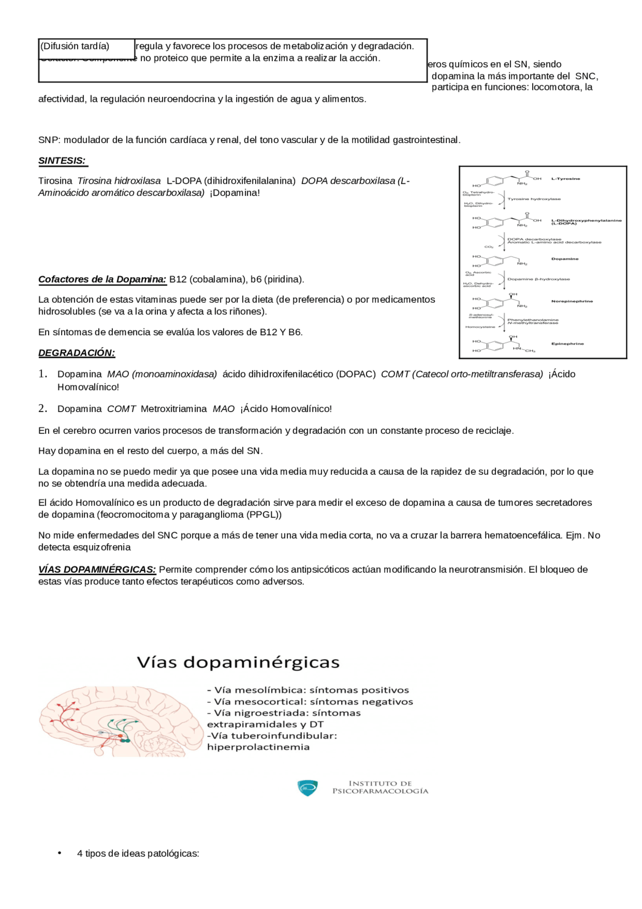 Dopamina resumen de sintesis y degradación | Apuntes de Medicina | Docsity