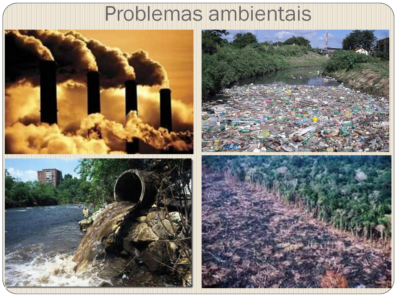 O'que Consumimos Impacta No Meio Ambiente AskSchool O'que Consumimos Impacta No Meio Ambiente AskSchool