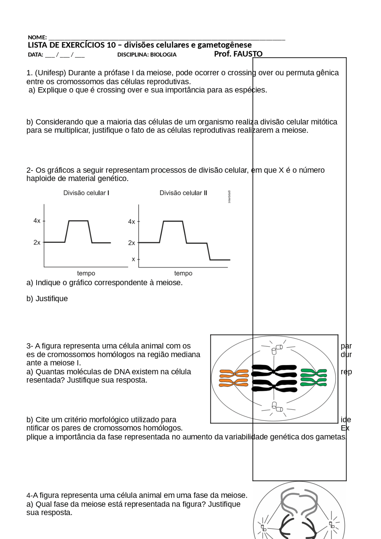 Exercicios Sobre Mitose E Meiose Com Gabarito 8 Ano - FDPLEARN