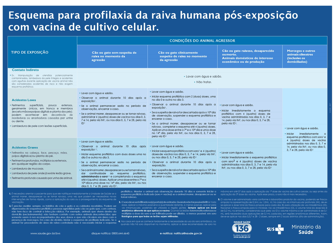 Esquema de vacinação Anti-rábica | Esquemas Biologia da conservação ...