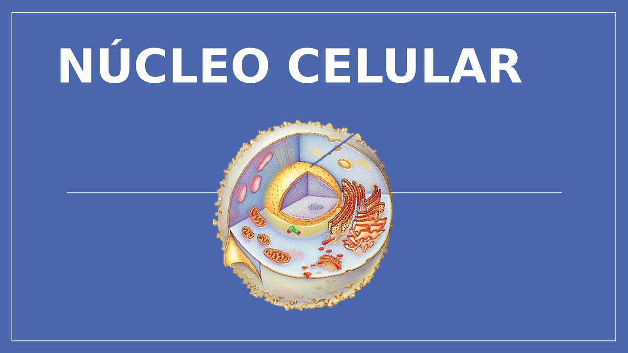 Nucleo Celular Una Nueva Vista | Diapositivas de Biología | Docsity
