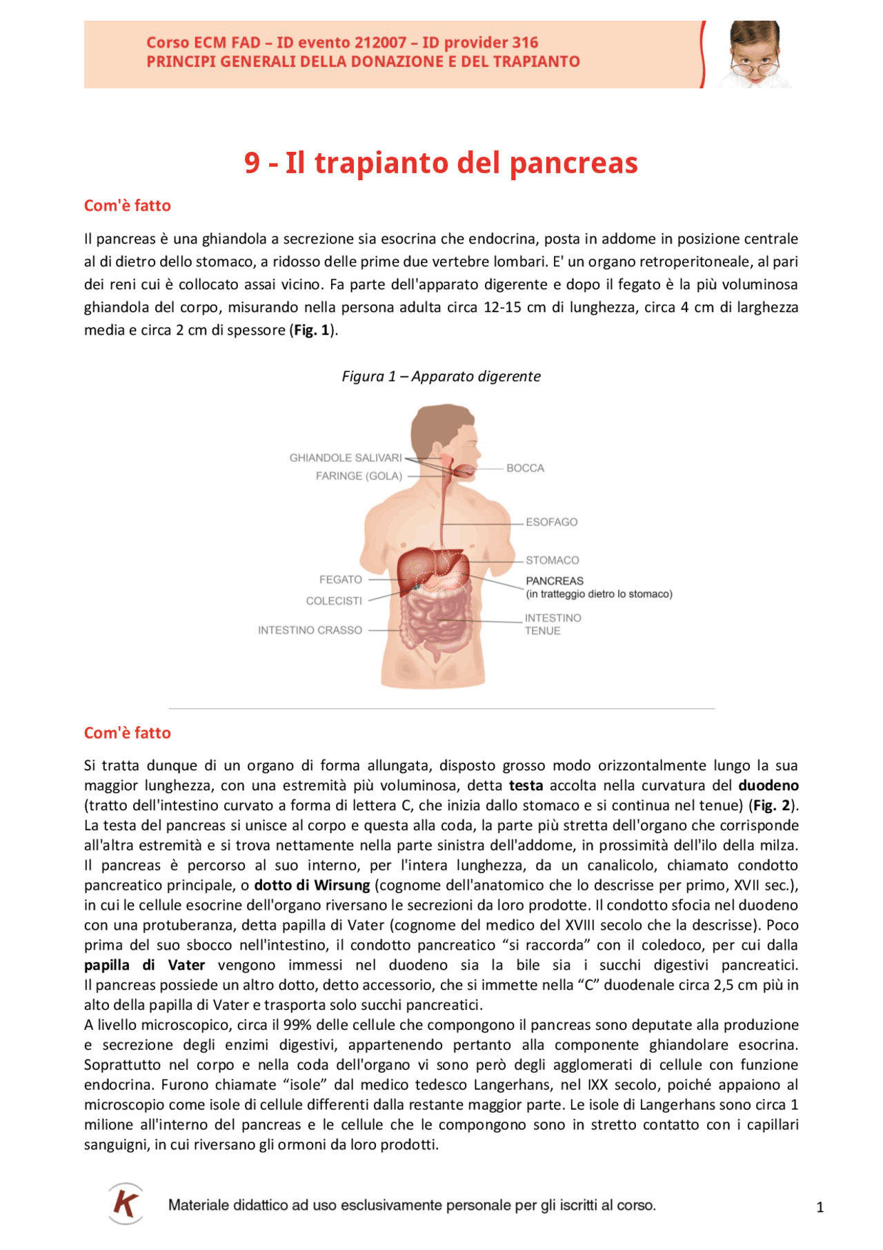 Trapianto del pancreas Docsity