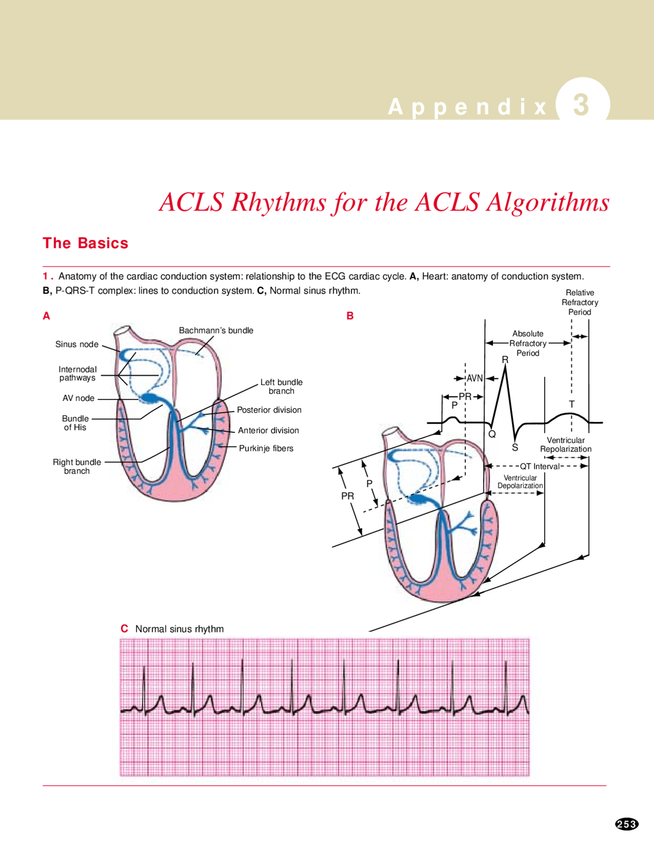 Acls cheat sheet Docsity