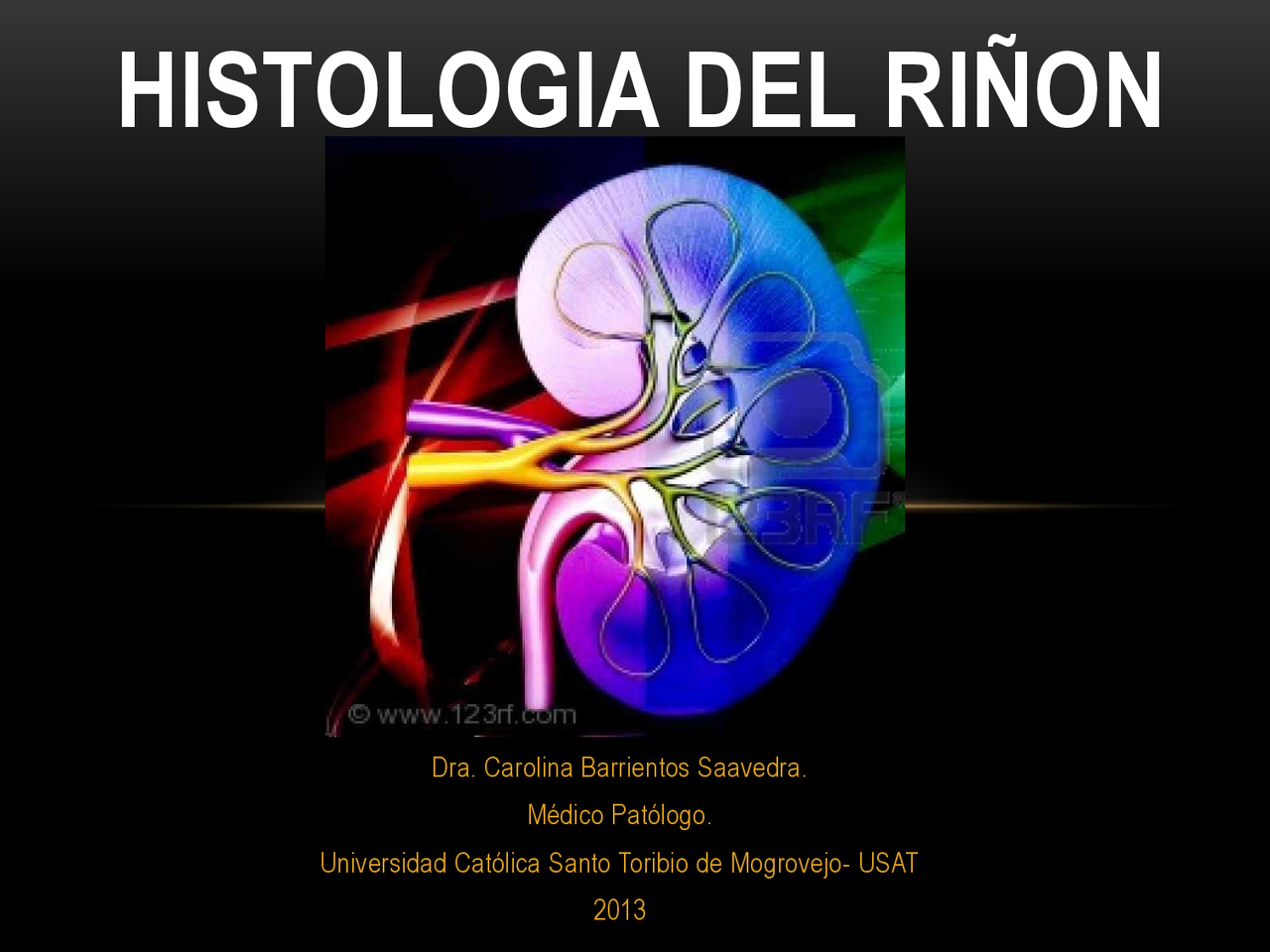 Histologia del riñon - Docsity