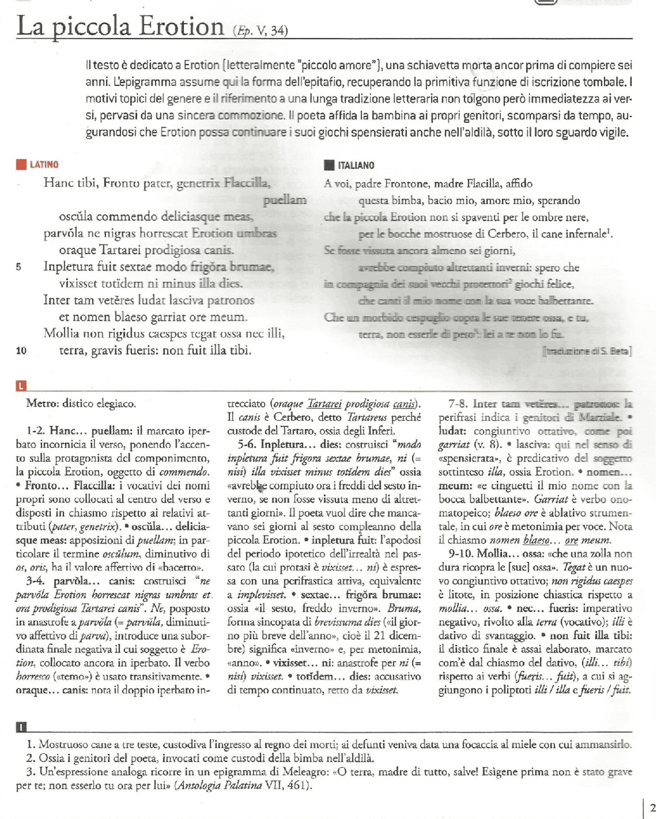 Epigrammi Marziale in lingua latina Docsity