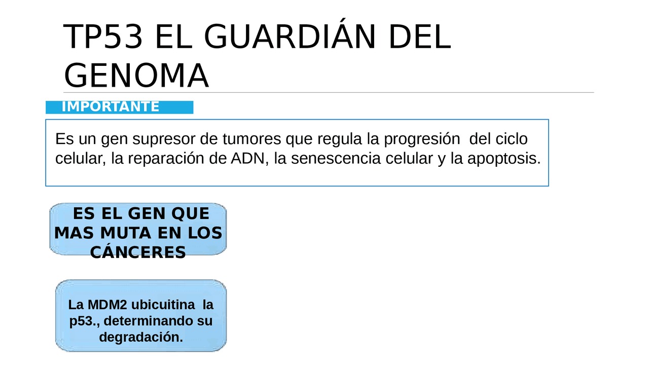 TP53 El guardian del genoma - Docsity