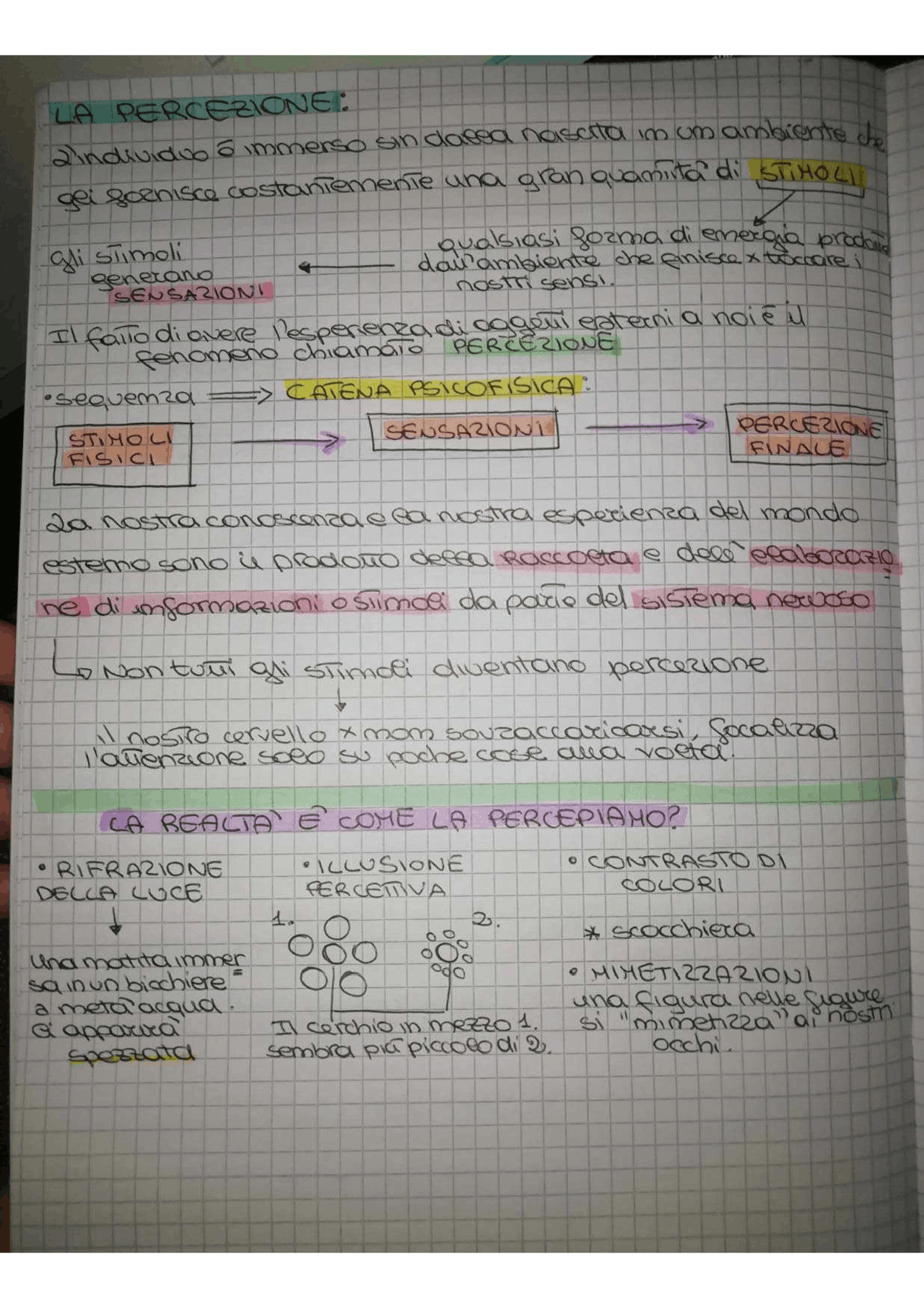 LA PERCEZIONE ACCENNO Appunti di Scienze Umane Docsity