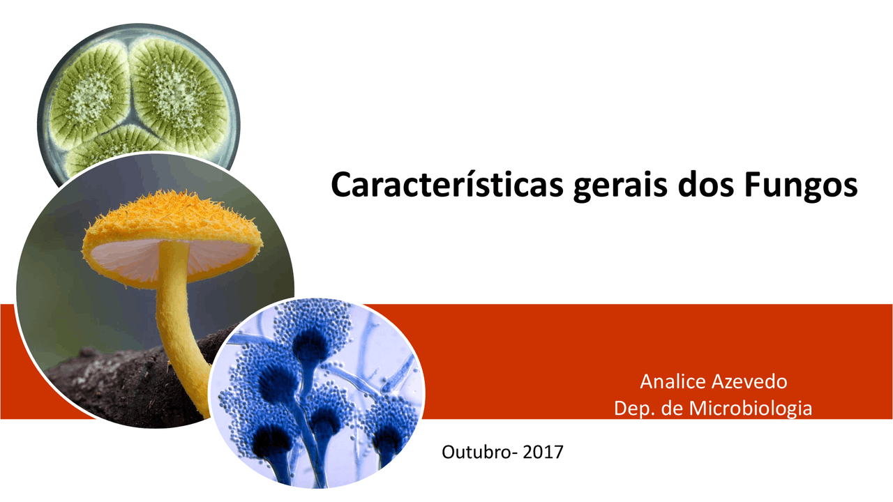Fungos características gerais - Docsity