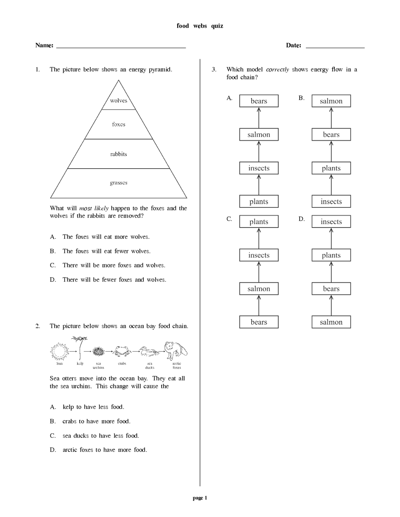 Food web for grade 7 - Docsity