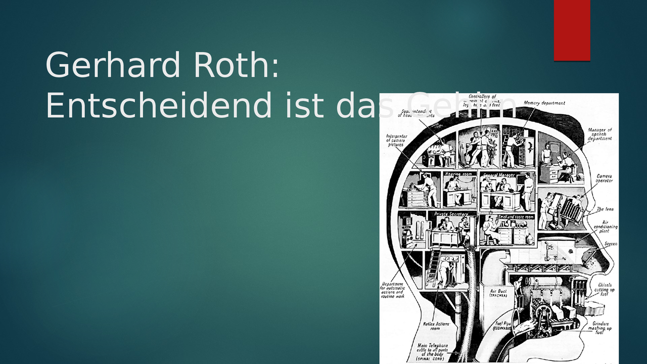 Information zur Hirnforschung nach Gerhard Roth: Entscheidend ist das ...