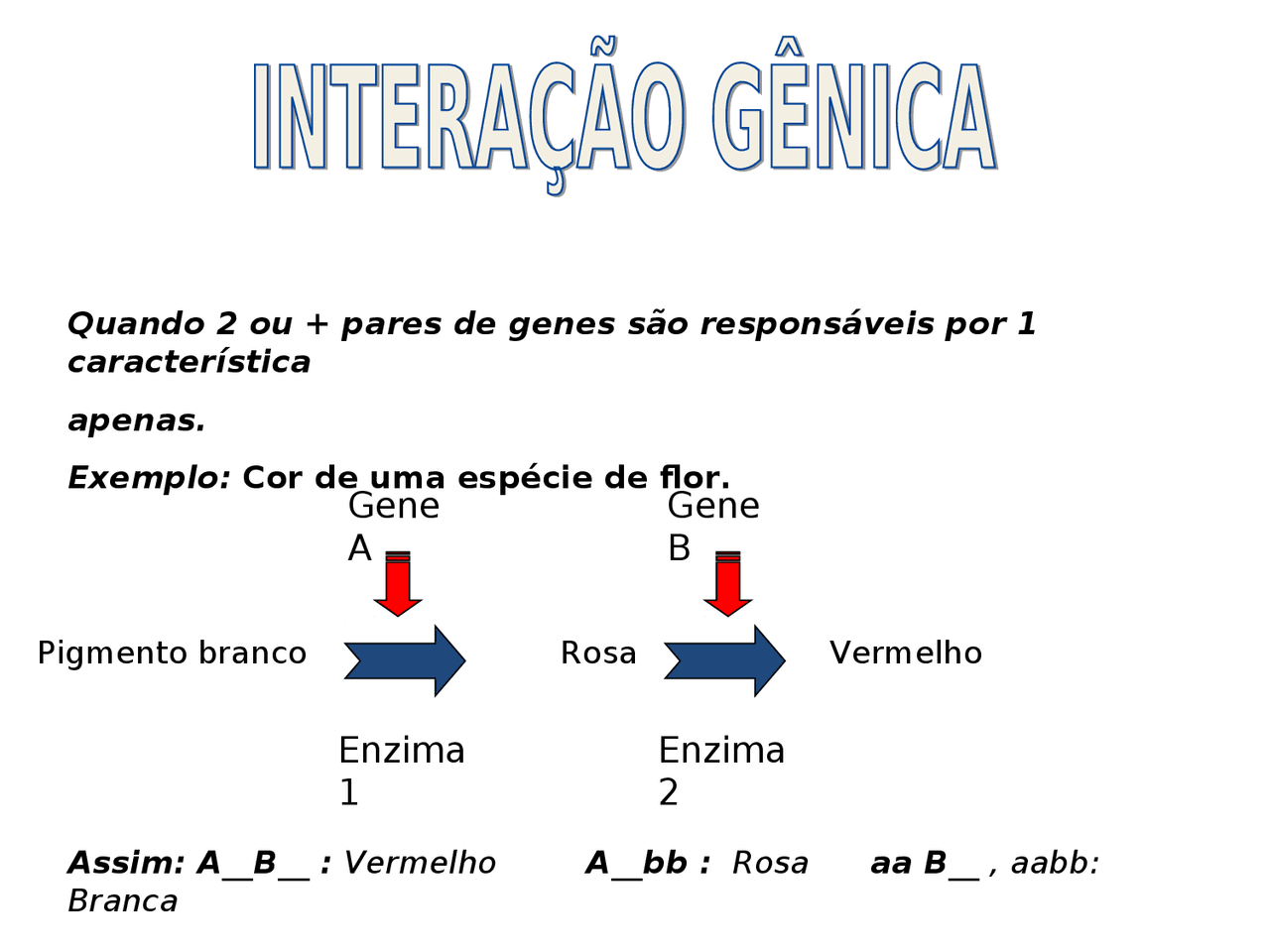 Interação GENICA, epistasia dominante e recessiva | Notas de aula ...