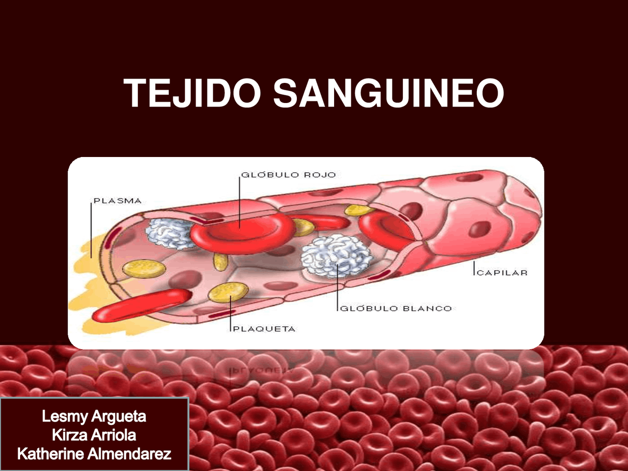 Que Tipo De Tejido Es La Sangre