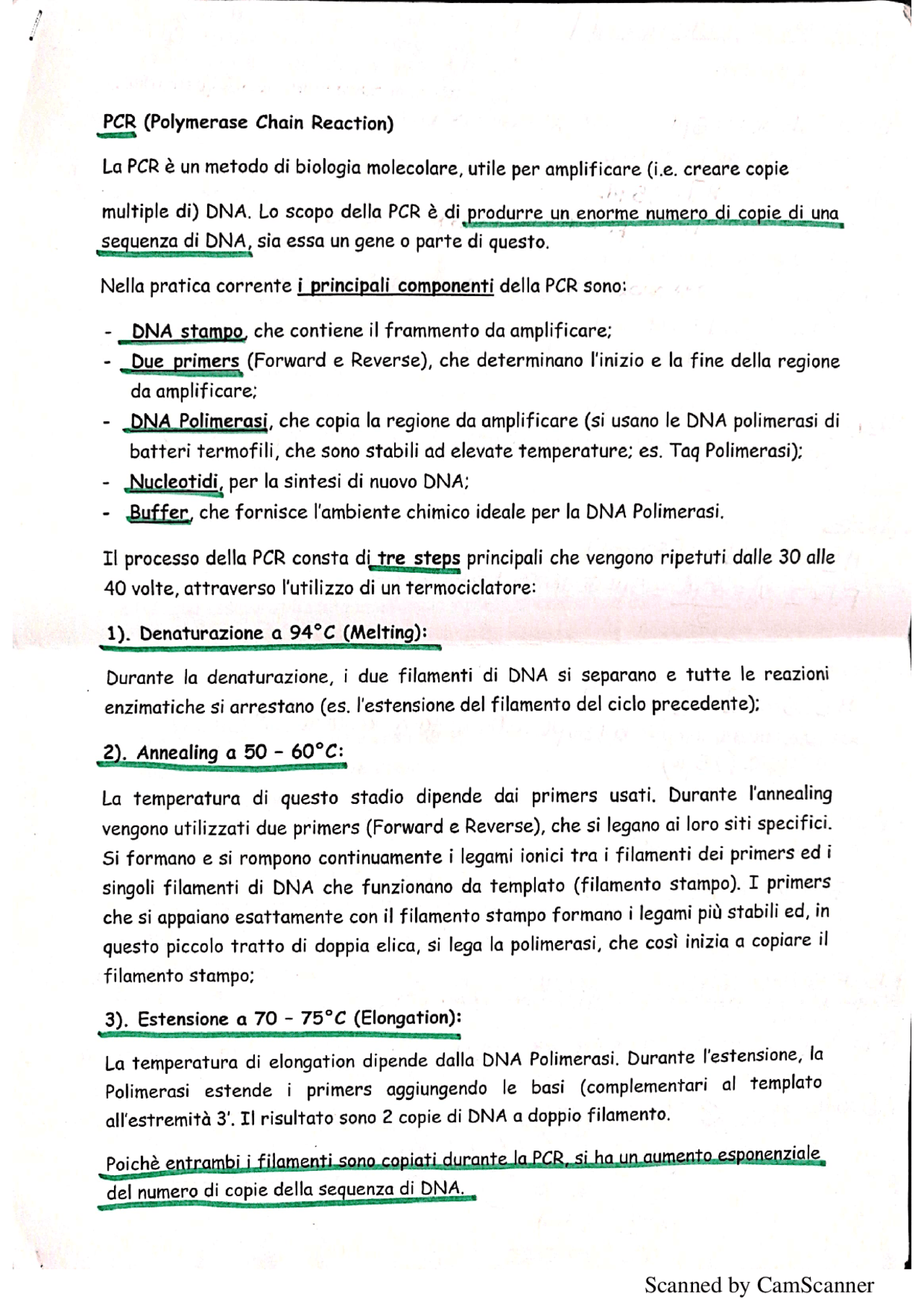 Protocollo PCR (Polymerase Chain Reaction) - Docsity