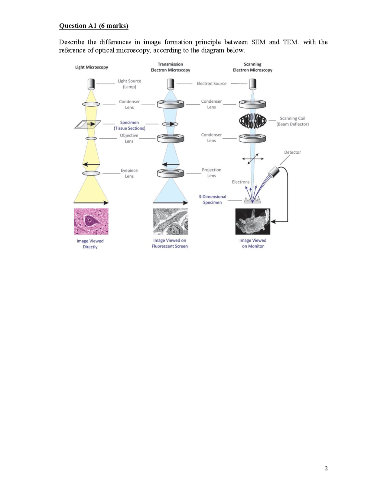 Transmission electron microscopy (TEM) or atom probe microscopy (APM ...