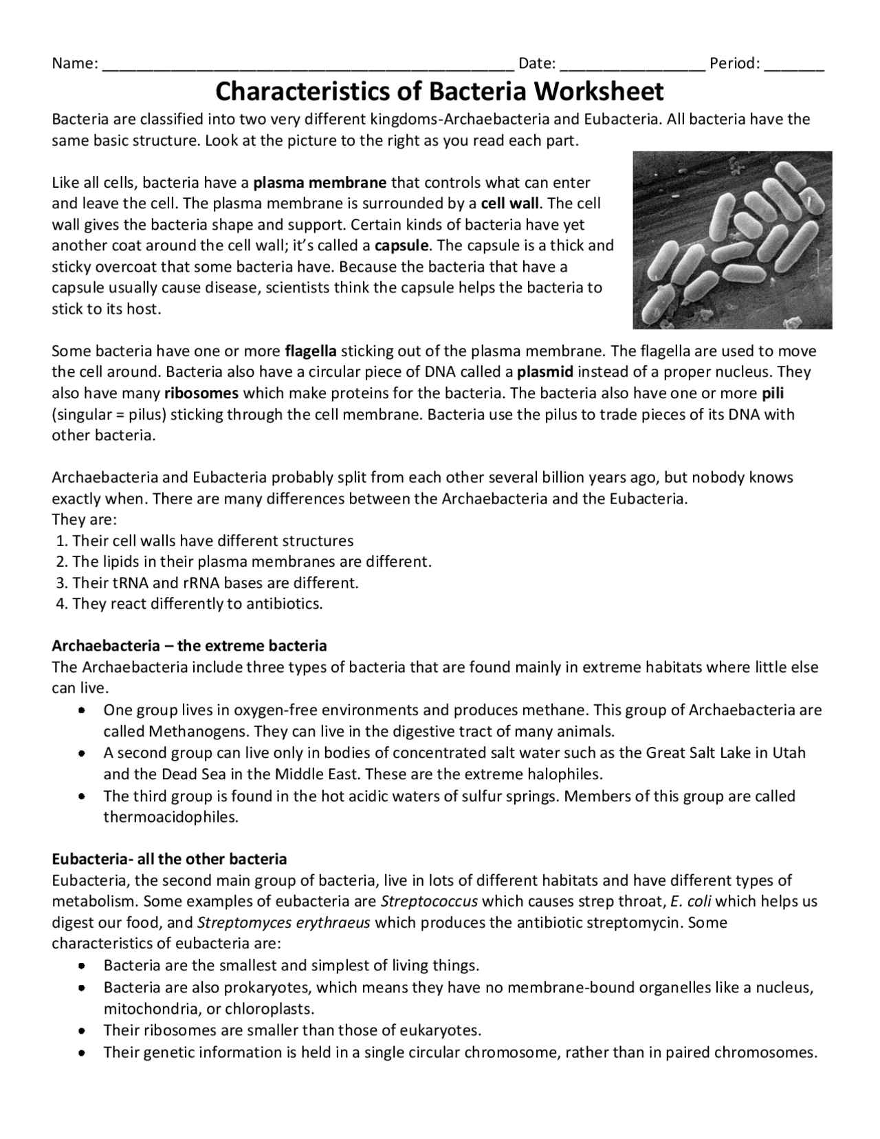 Characteristics bacteria - Docsity For  Characteristics Of Bacteria Worksheet