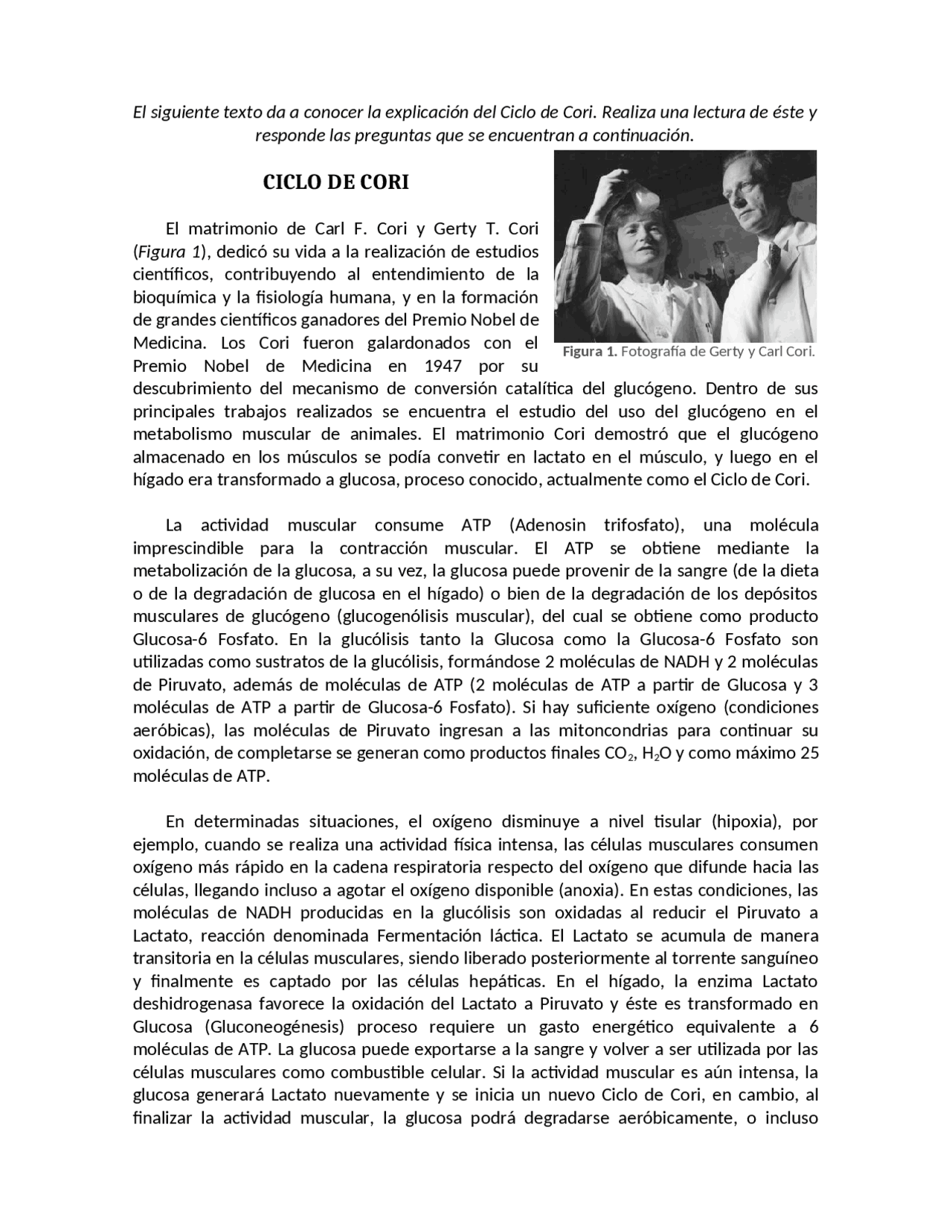 Ciclo De Cori Resumen Y Aspectos Importantes Docsity
