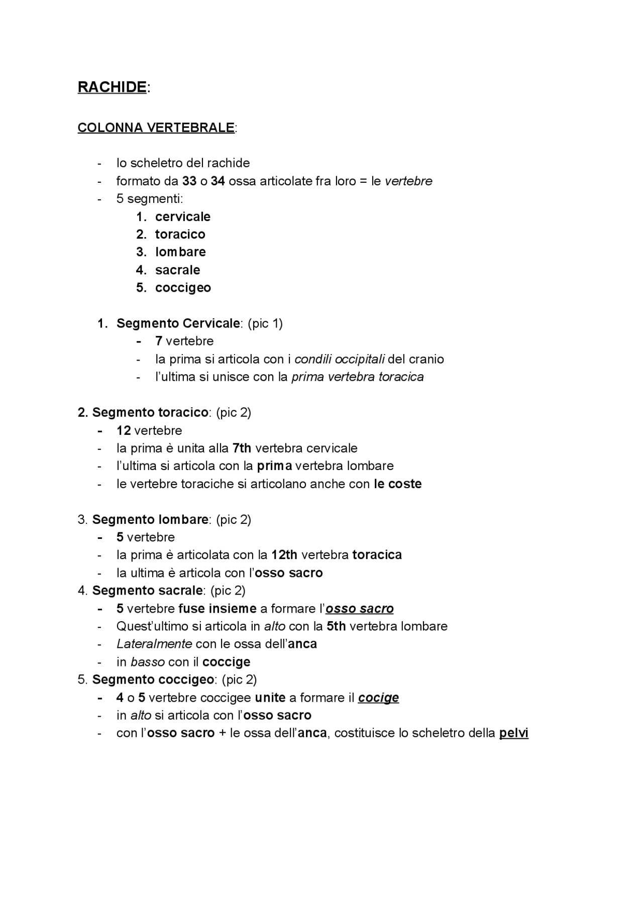Descrezione della Anatomia del Rachide - Docsity