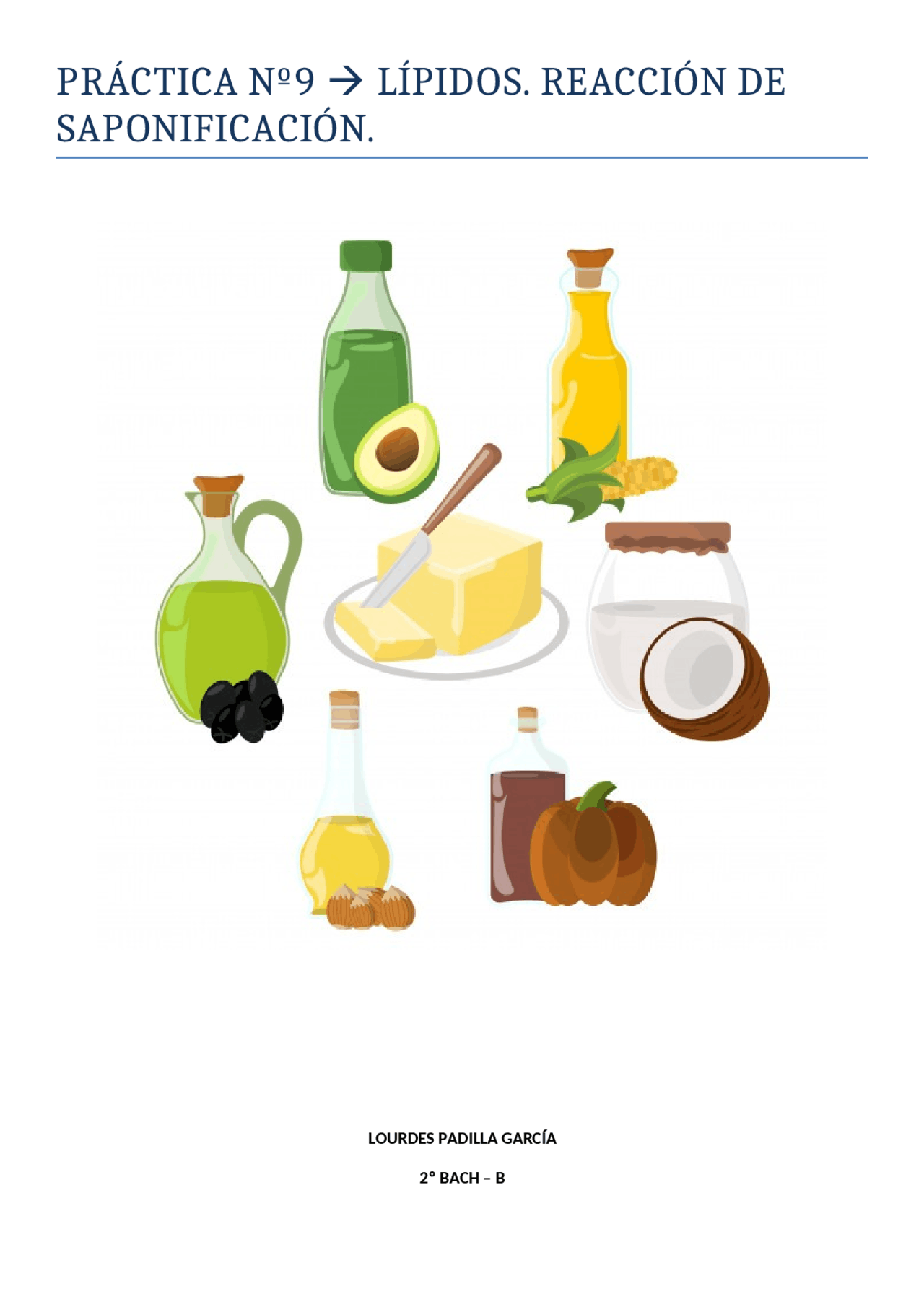 Lípidos y distintos experimentos | Guías, Proyectos, Investigaciones de