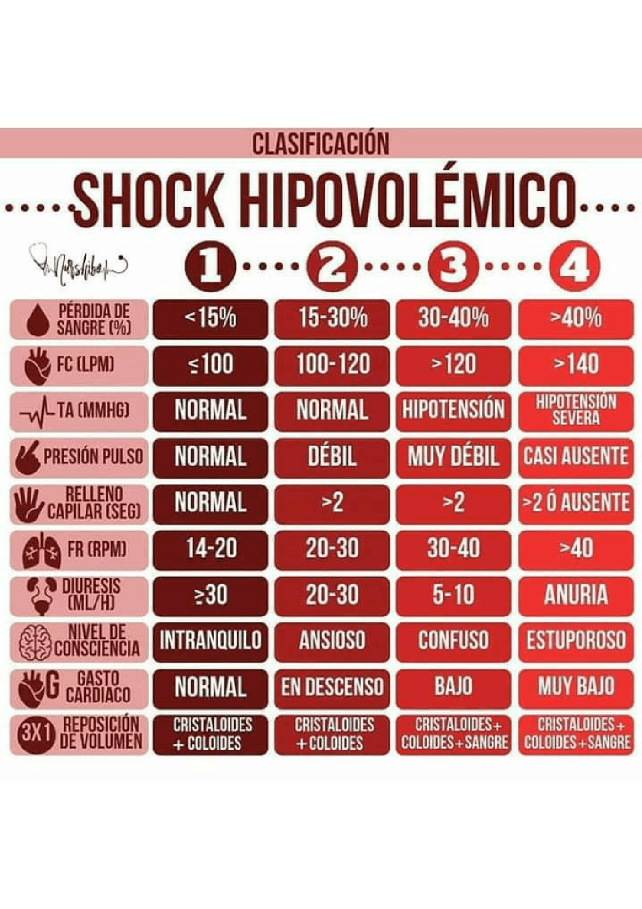 CLASIFICACIÓN DE SHOCK HIPOVOLÉMICO | Resúmenes de Clínica Medica | Docsity