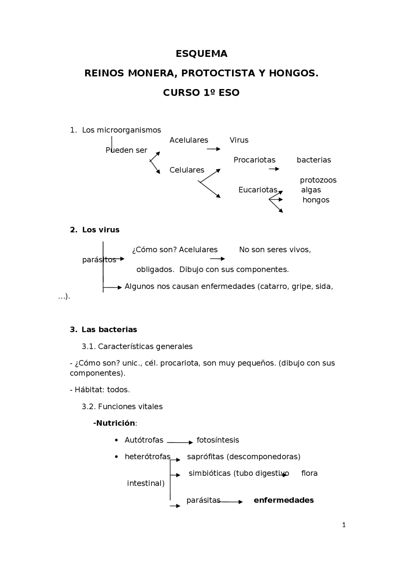 Moneras protistas y hongos (99) foto