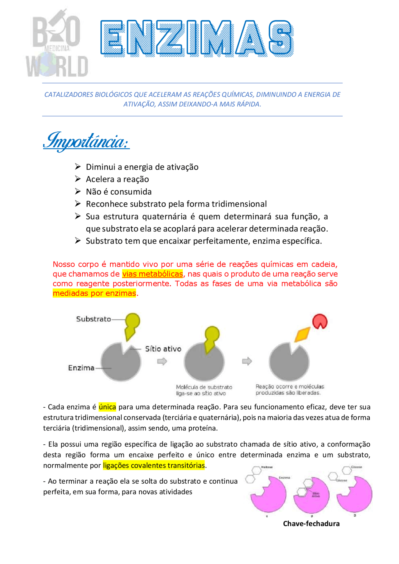 Resumo de Enzimas Bioquímica | Resumos Bioquímica | Docsity