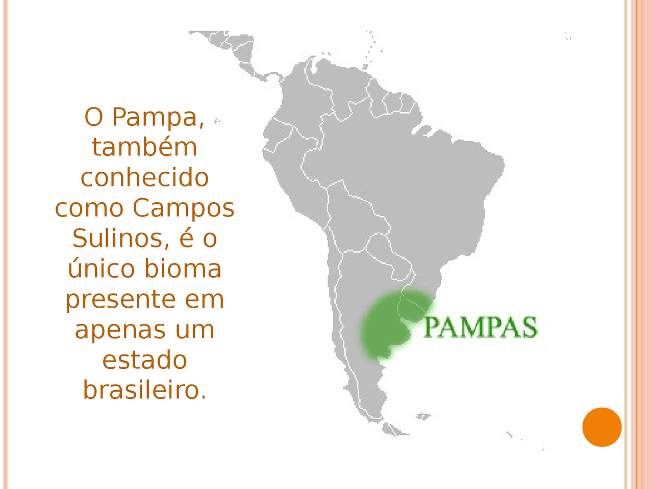 Slides de seminário sobre o bioma Pampa | Slides Geografia | Docsity
