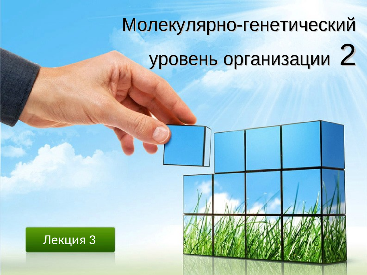 Формирование нового генофонда уровень организации. Формирование нового генофонда уровень организации