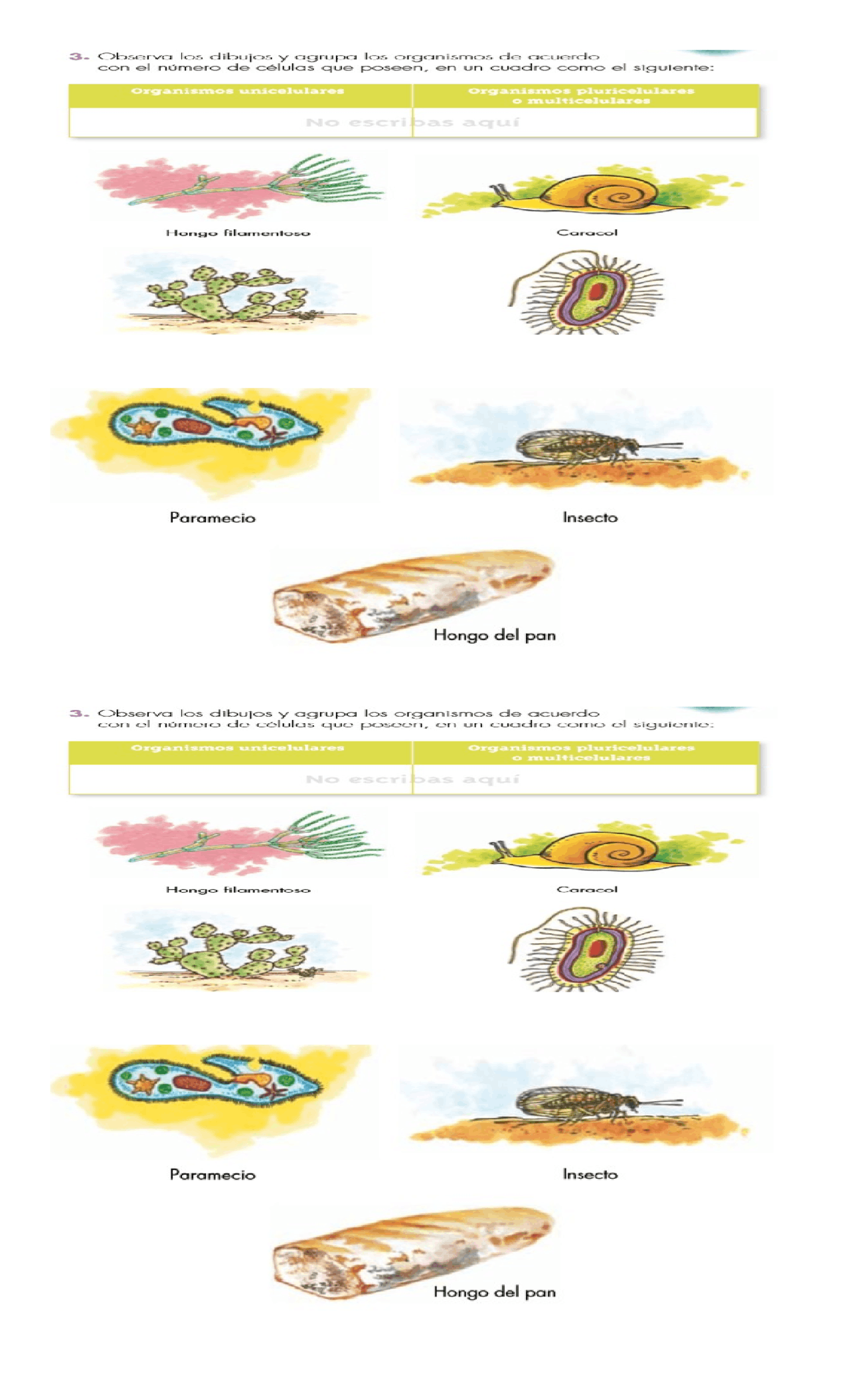 organismo unicelulares y pluricelulares | Ejercicios de Humanidades y  Ciencias Sociales | Docsity