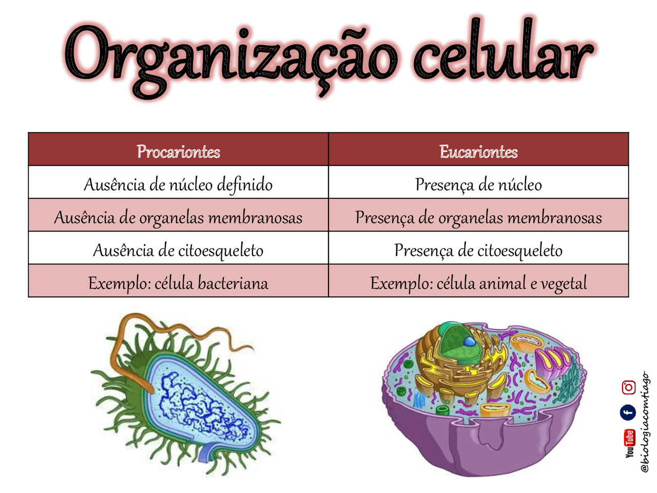 Mapa Mental Celula Eucarionte E Procarionte - FDPLEARN