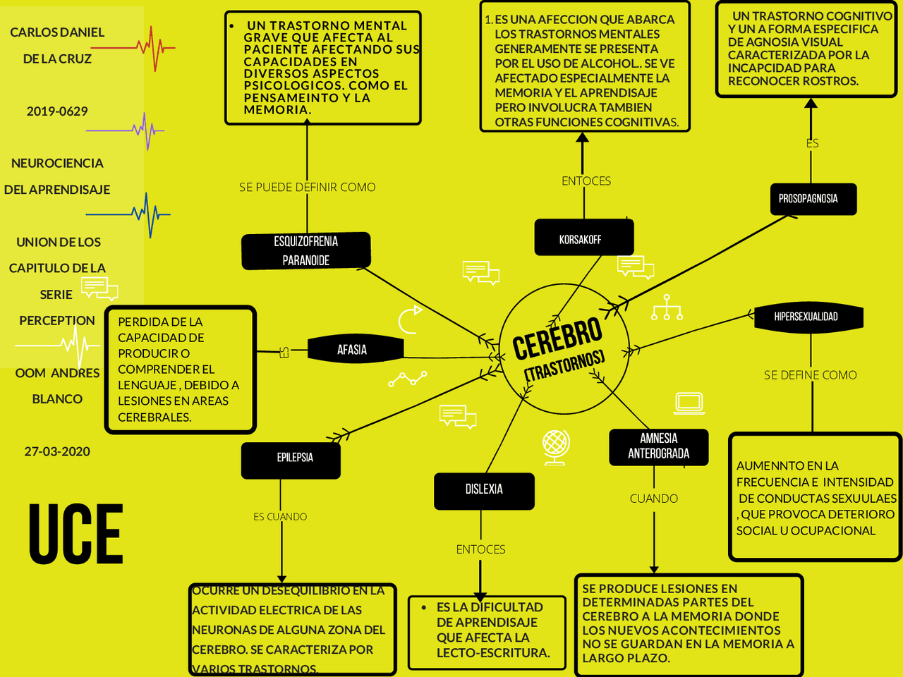 Mapa conceptual del cerebro - Docsity
