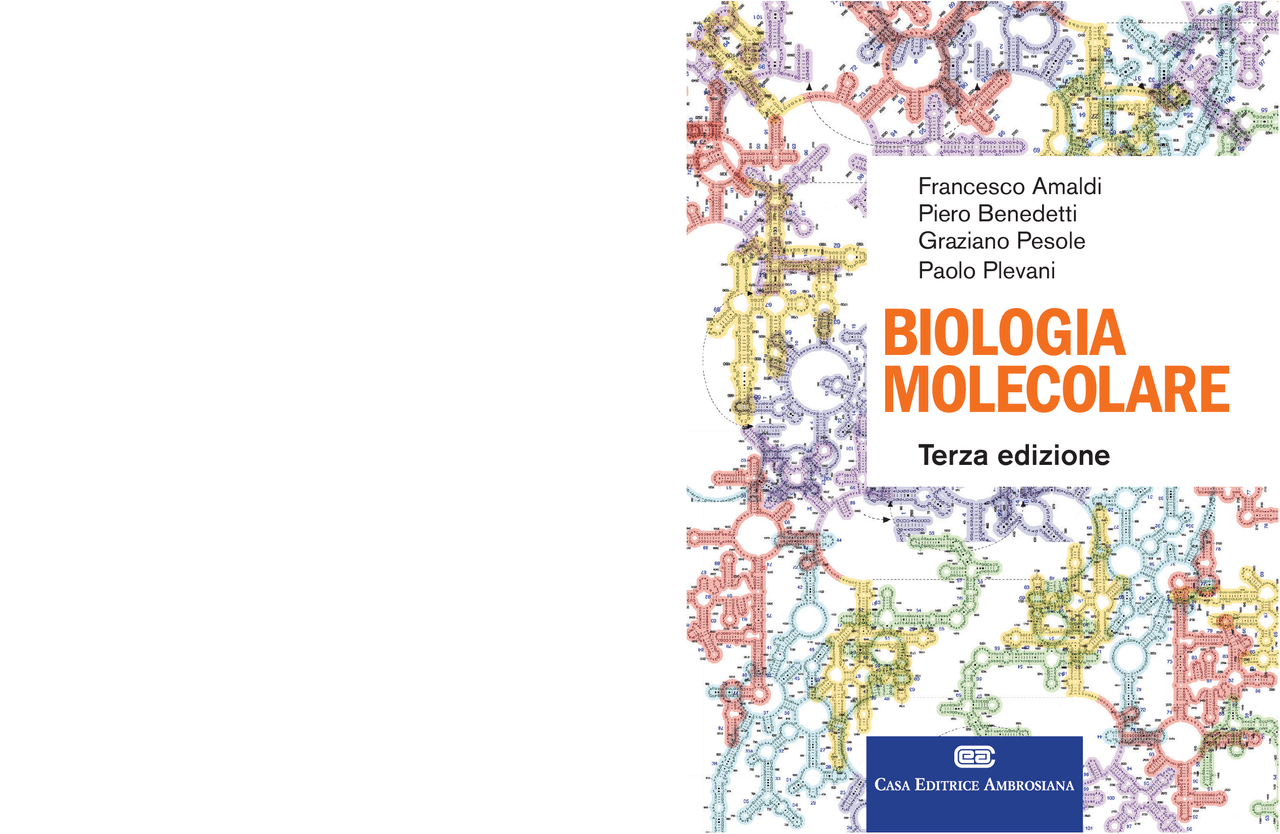 Biologia Molecolare Terza Edizione | Guide, Progetti e Ricerche di
