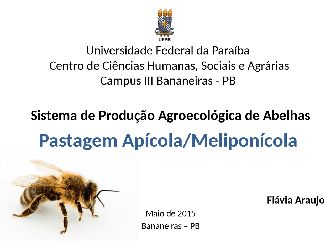 Apicultura E Meliponicultura Docsity Apicultura E Meliponicultura Docsity