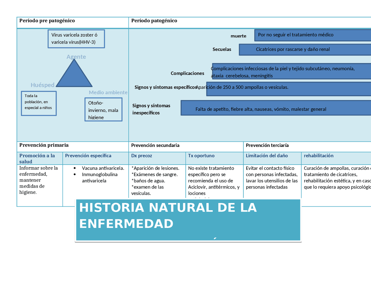 Historia natural de la enfermedad "sarampion" - Docsity