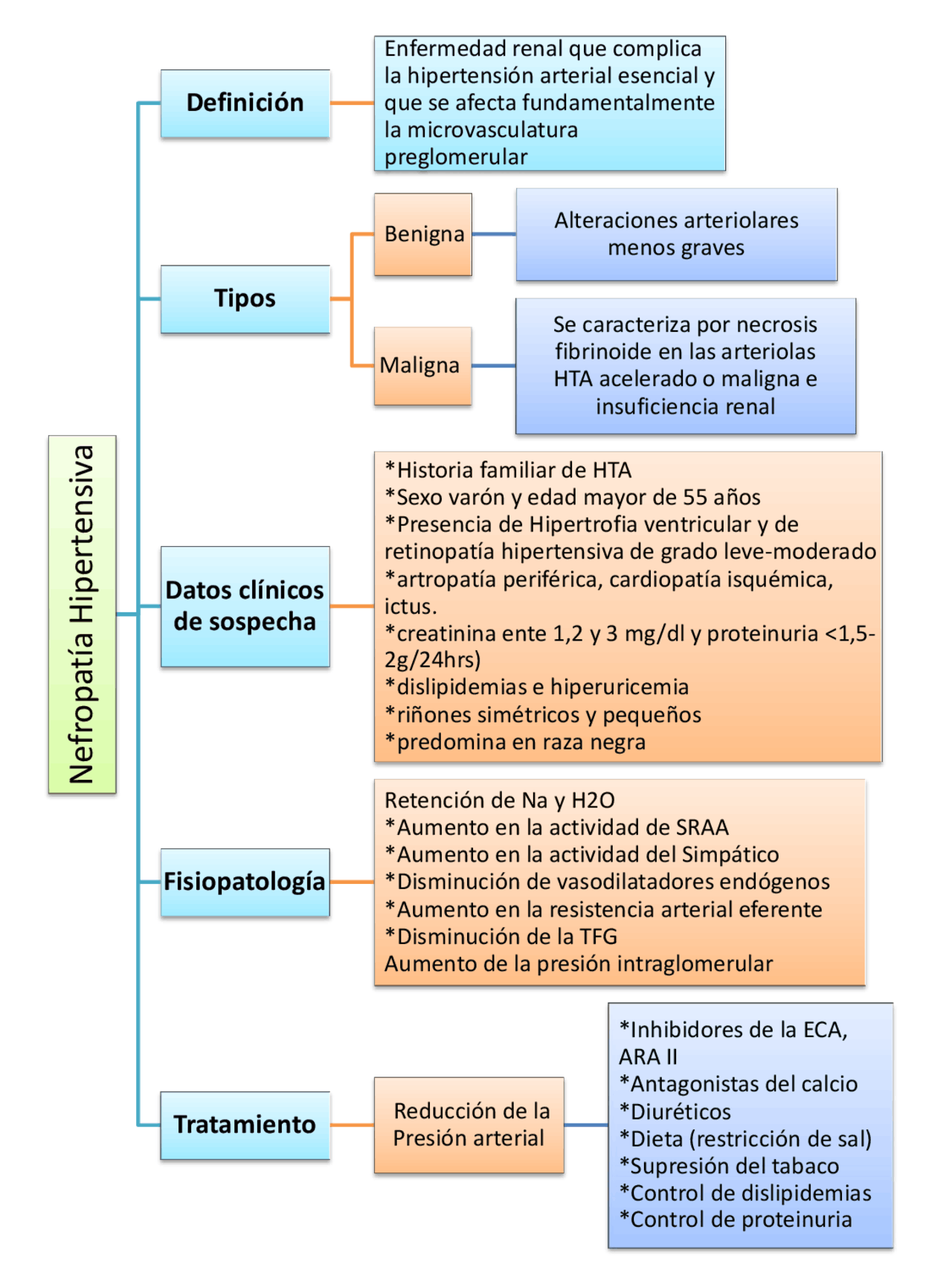 Nefropatia Hipertensiva Docsity