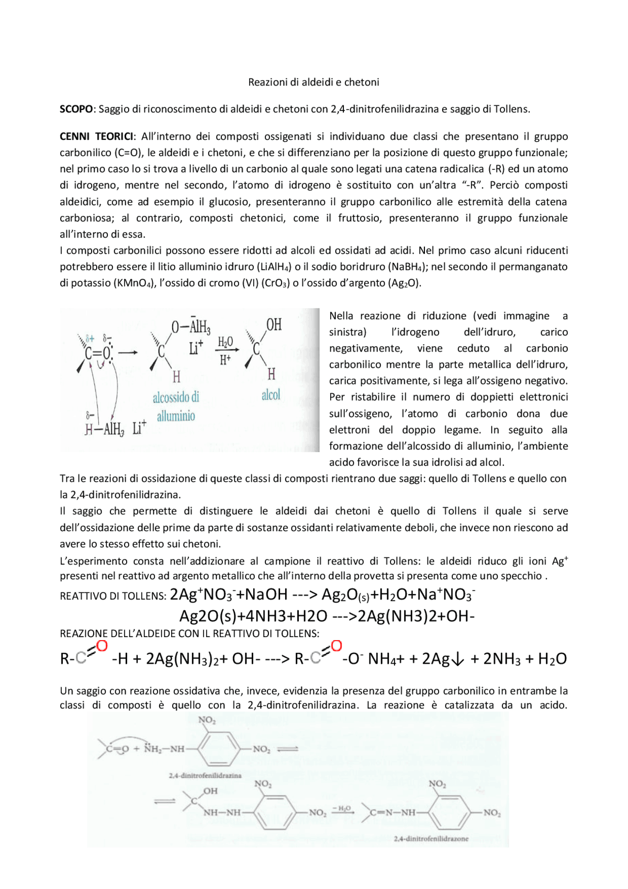 Saggio di Tollens e con 2,4dinitrofenilidrazina Guide, Progetti e