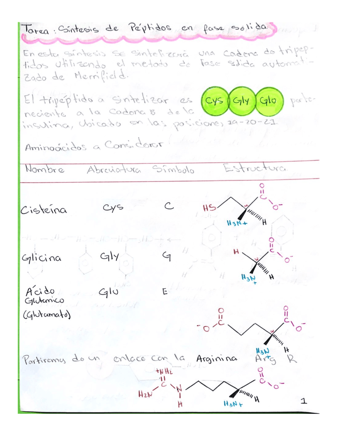 Síntesis de peptidos en fase sólida Docsity Síntesis de peptidos en fase sólida Docsity