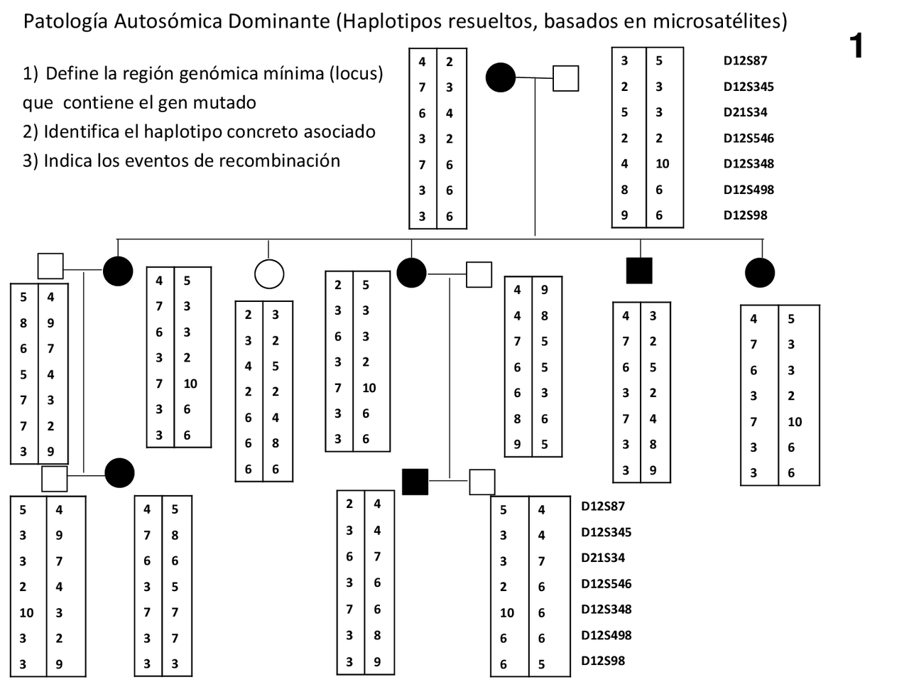 Aad 3 de genetica humana - Docsity