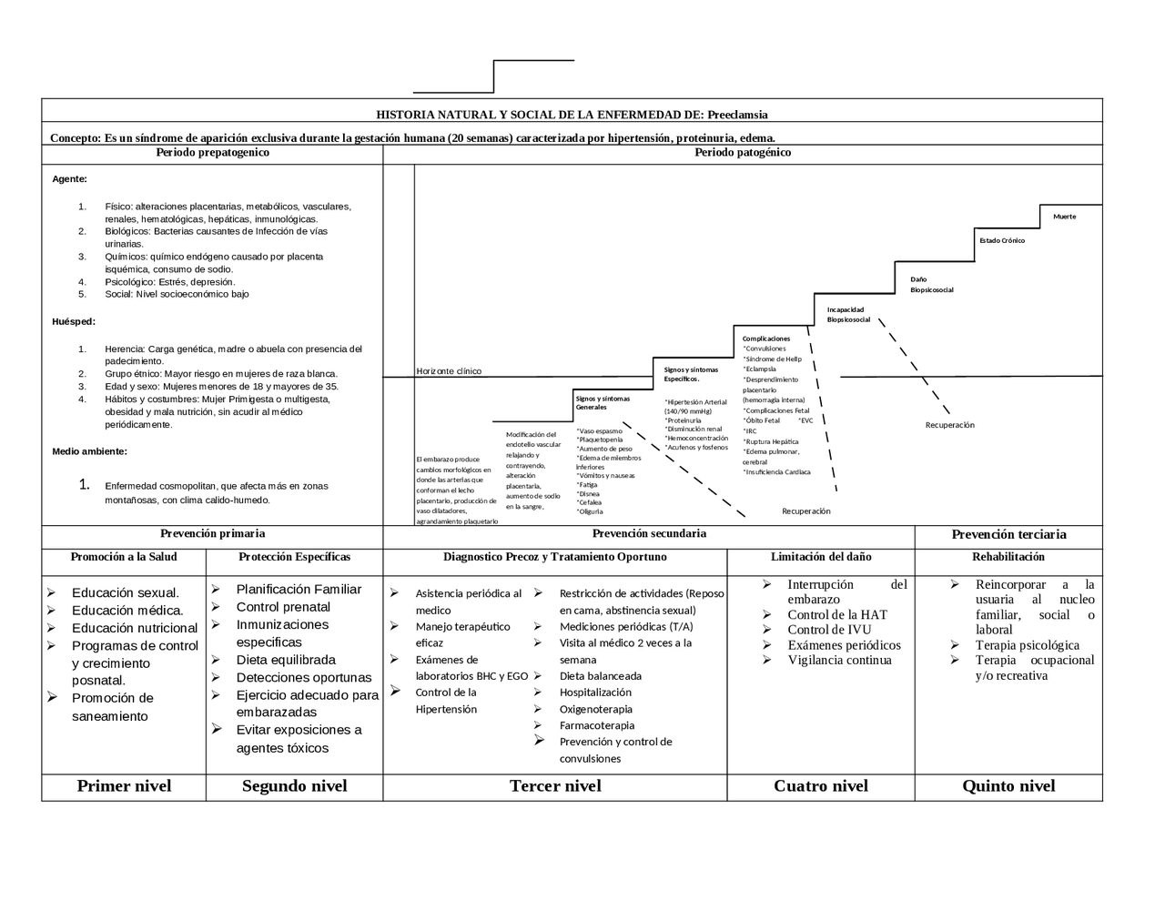 Historia Natural de la enfermedad de PREECLAMPSIA | Esquemas y mapas