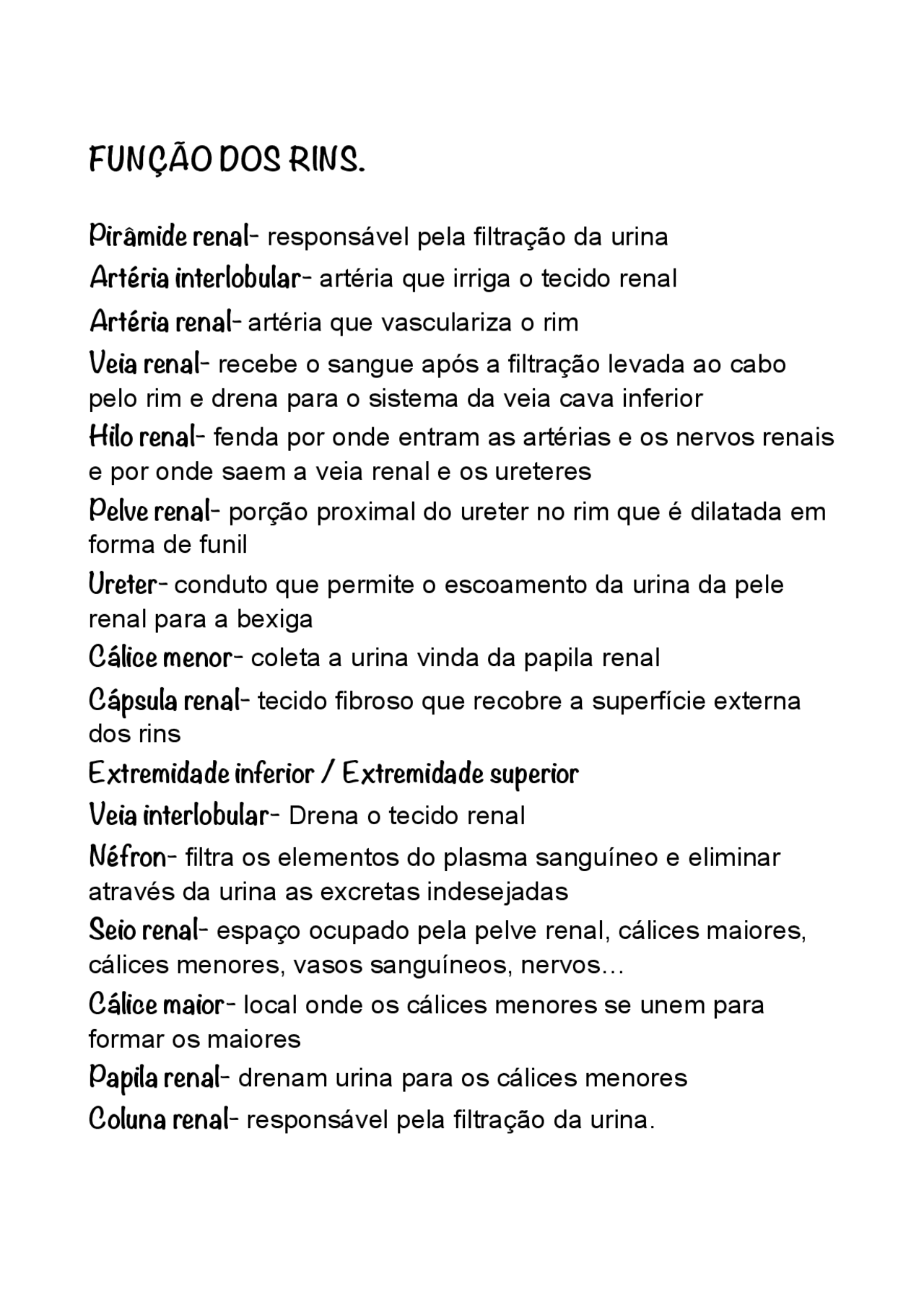 Os rins e sua funções - Docsity