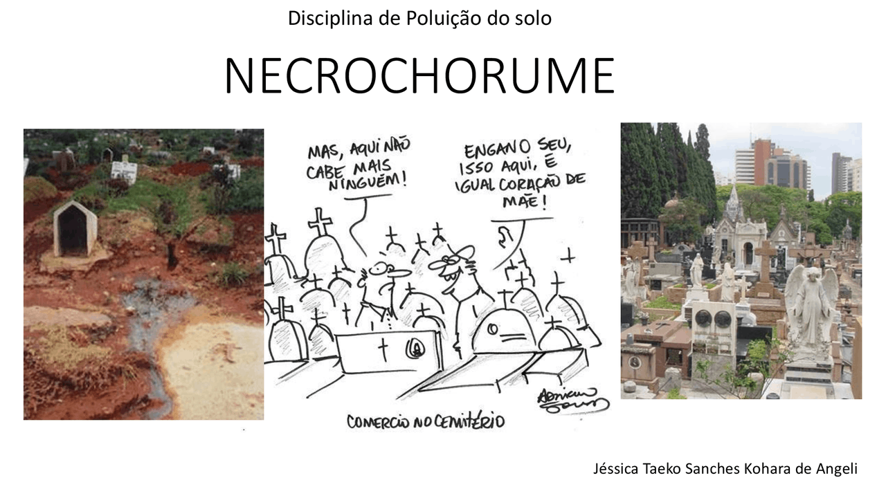 O Que E Necrochorume - FDPLEARN