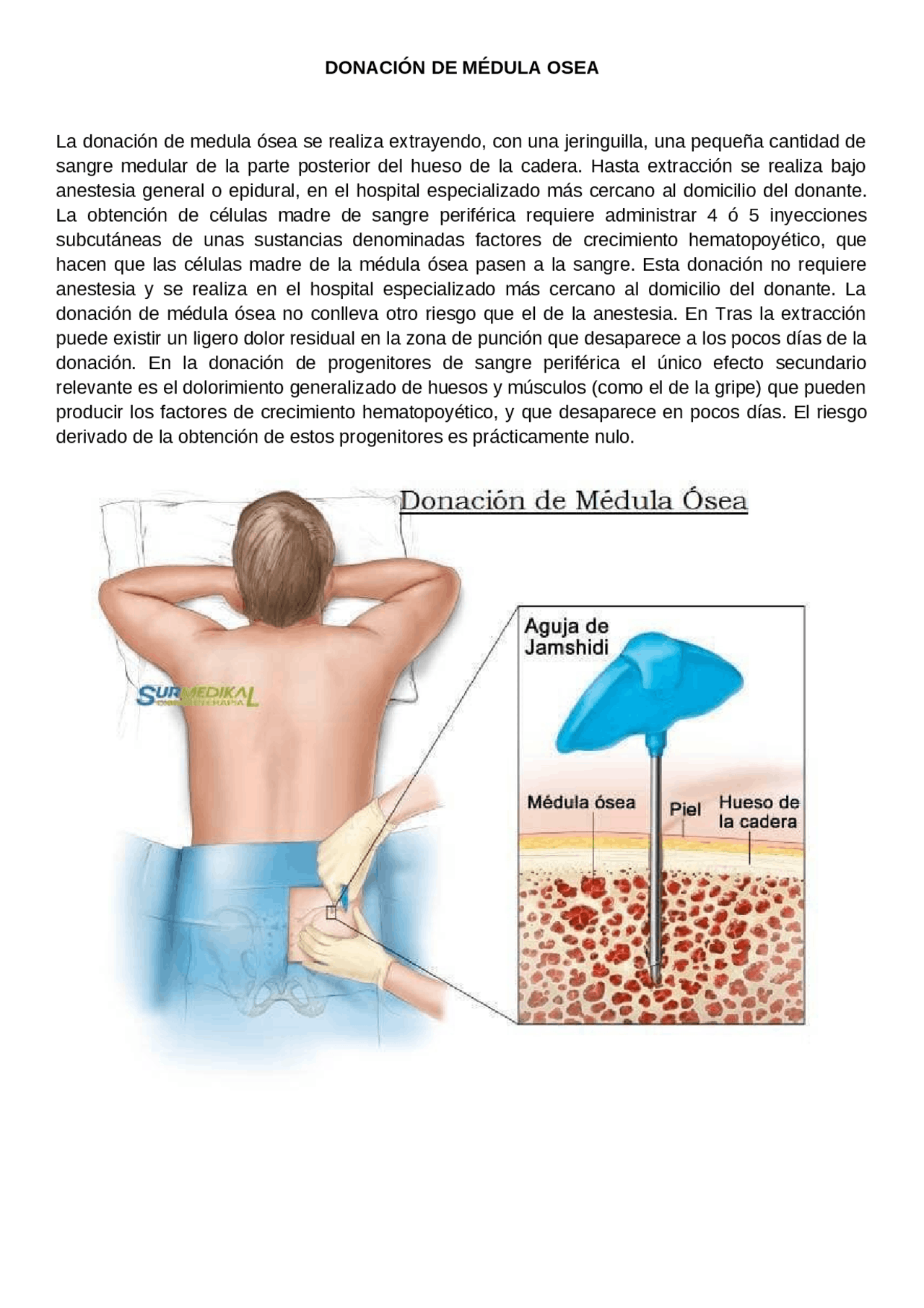 DONACI N DE M DULA OSEA Docsity donaci-n-de-m-dula-osea-docsity