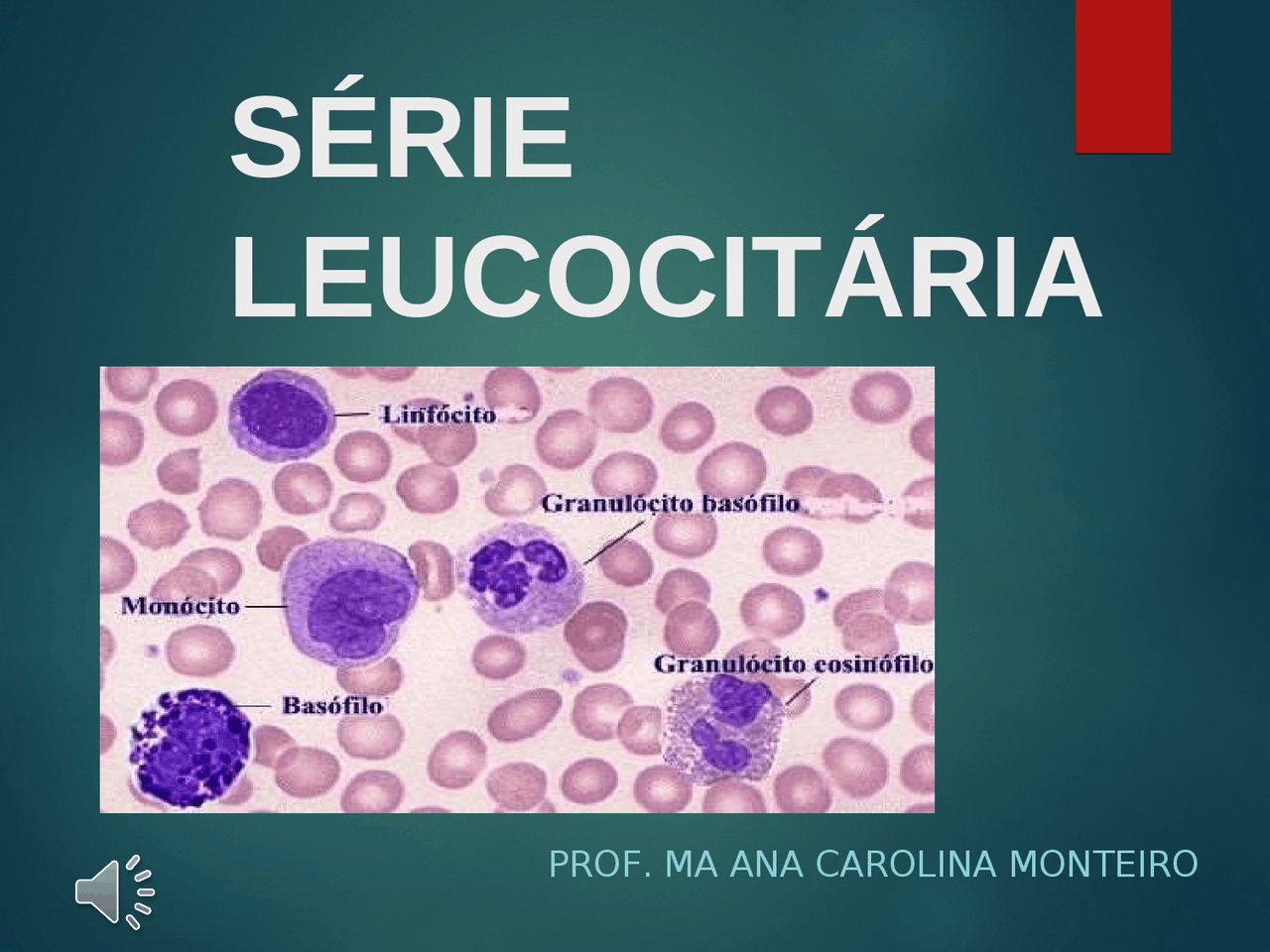 O Que Significa Leucograma - FDPLEARN