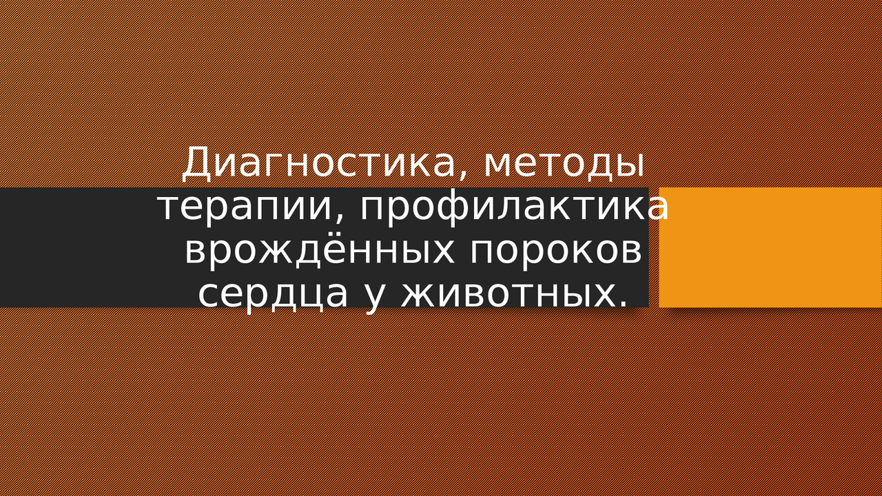 Физикальное обследование