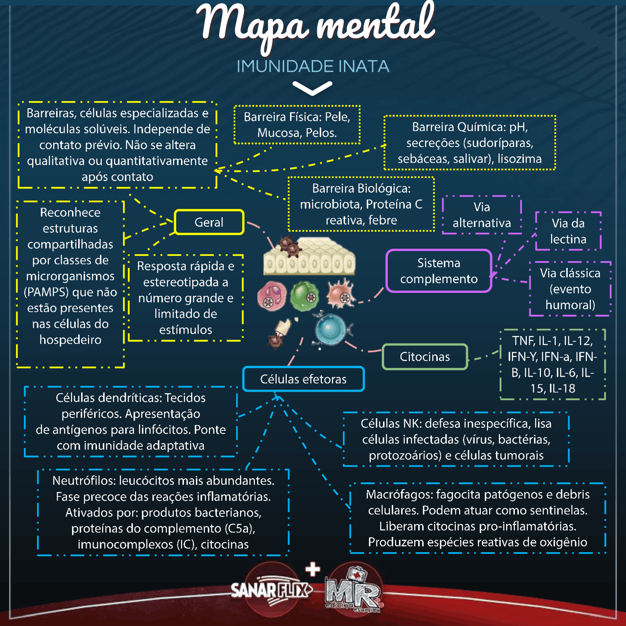 Mapa Mental Imunidade Inata - BRAINCP