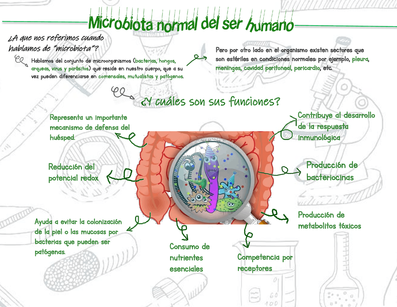 Microbiota normal del ser humano | Esquemas y mapas conceptuales de
