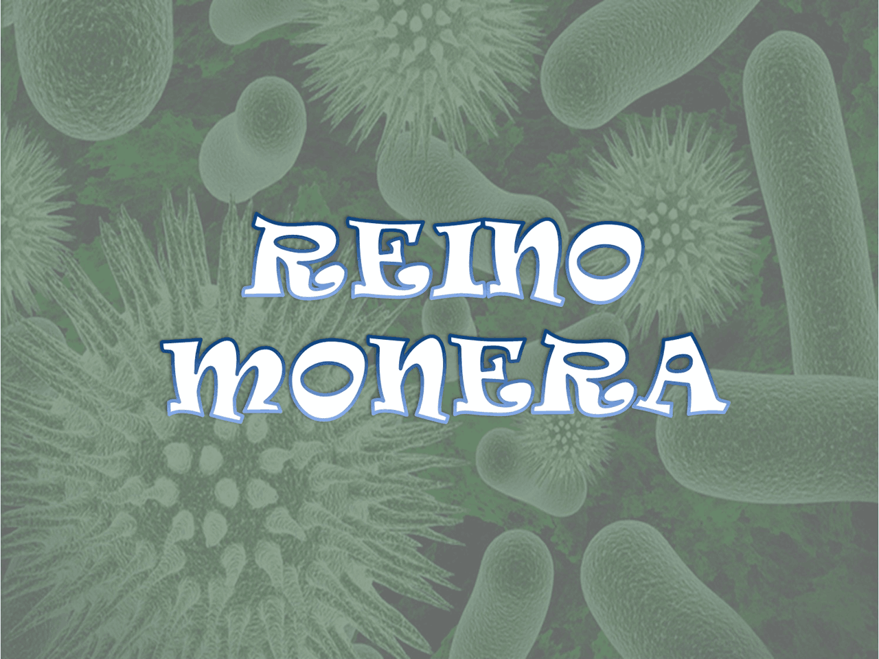 Bactérias (Reino Monera) | Notas de estudo Biologia | Docsity