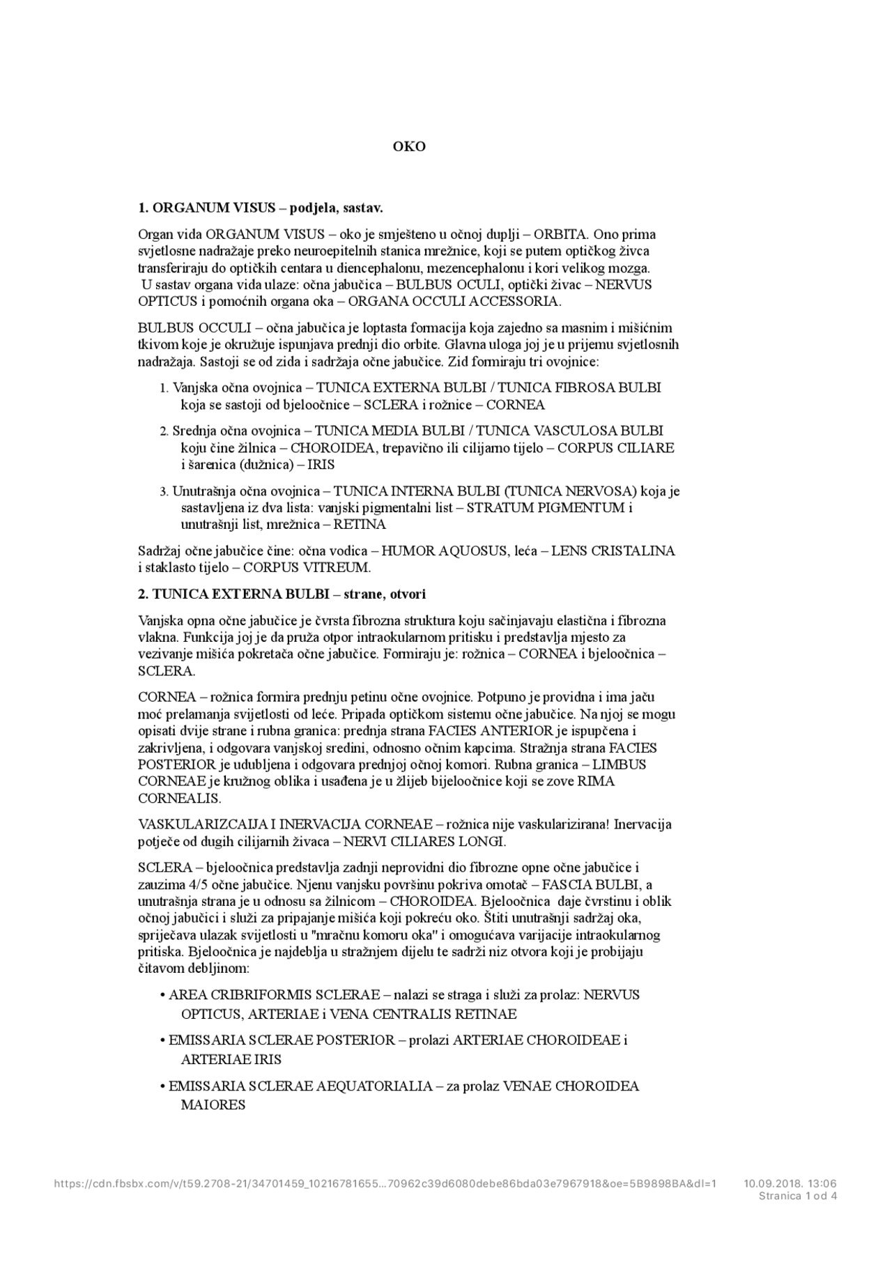 Anatomija oka, organum visus ( podjela, sastav) | Skripte' predlog ...